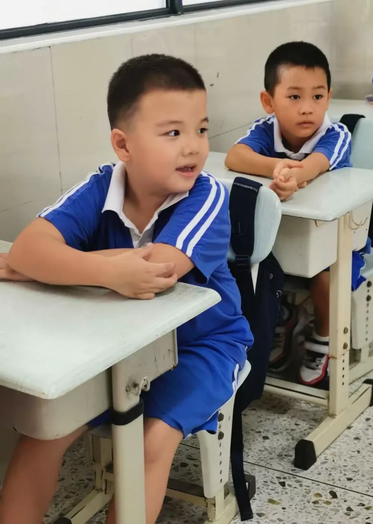 長才短取，新學小生。打倒地主做主人打一个准确生肖，详细解答、构建解答解释落实