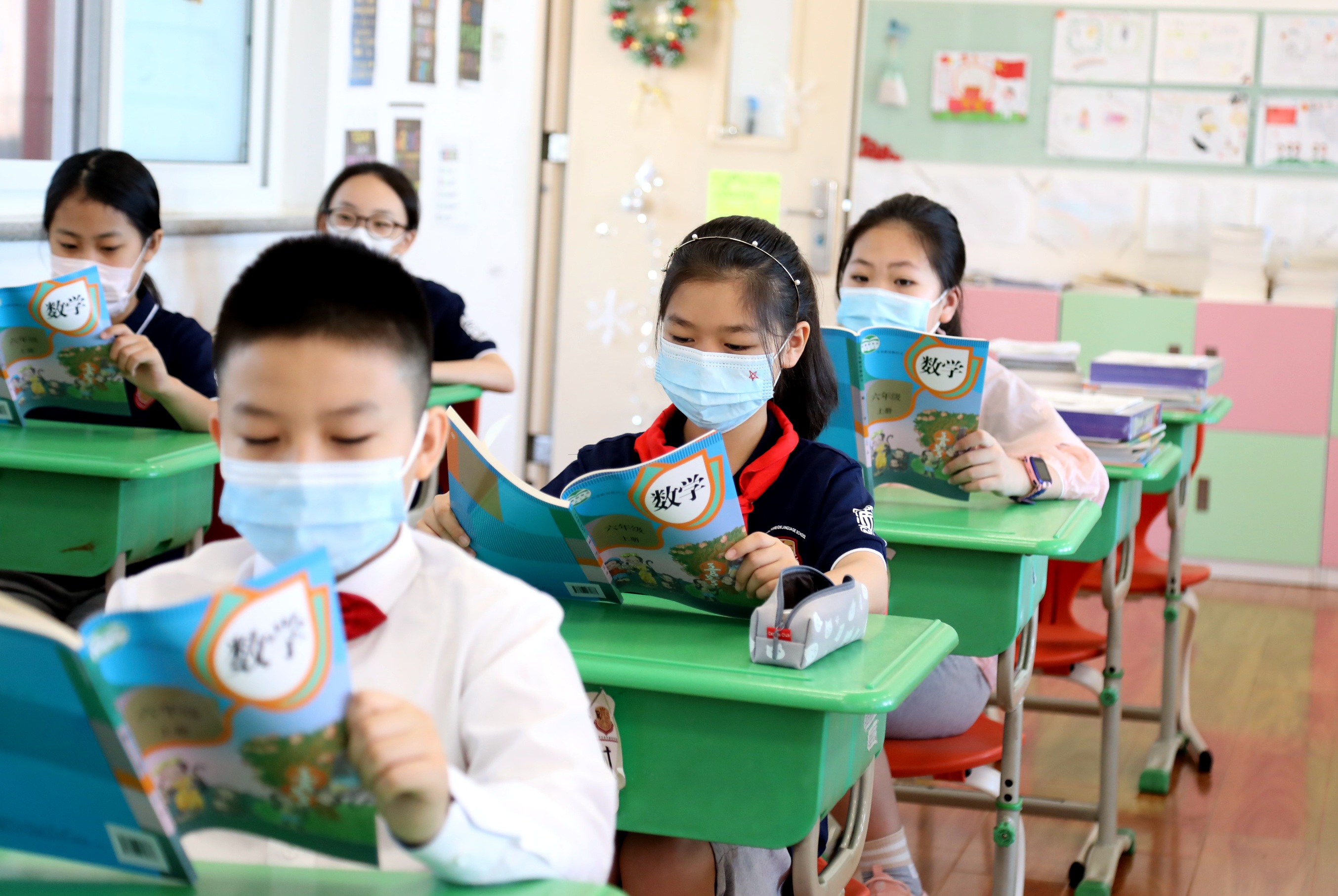 長才短取，新學小生。打倒地主做主人打一个准确生肖，详细解答、构建解答解释落实